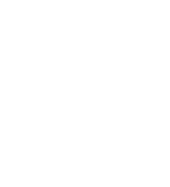 Partner organisation logo