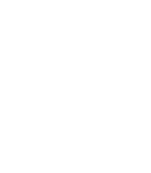 State of Texas logo